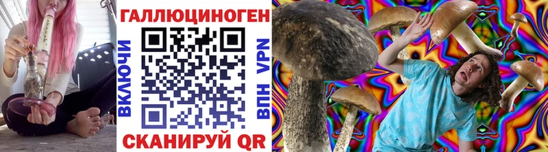 Псилоцибиновые грибы Cubensis  Купить закладки  Порхов 
