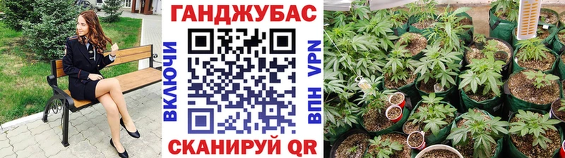 Канабис SATIVA & INDICA  Купить закладки  Порхов 